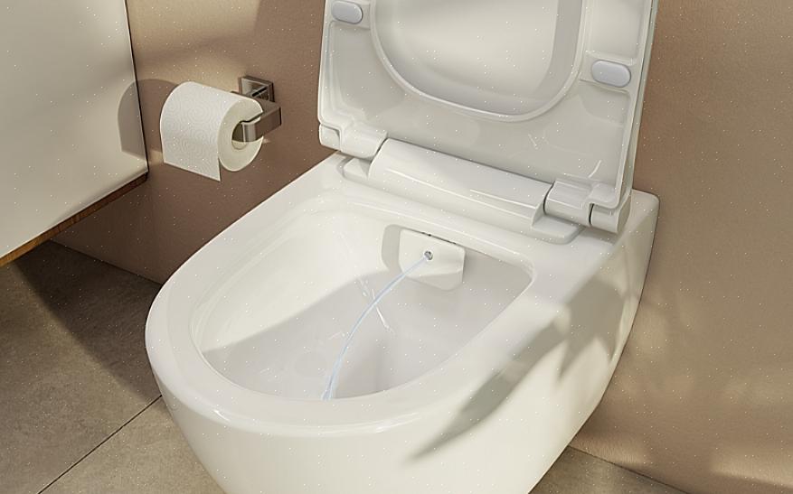 Et toiletbidet-system er en udviklet version af det lodrette spraybidet