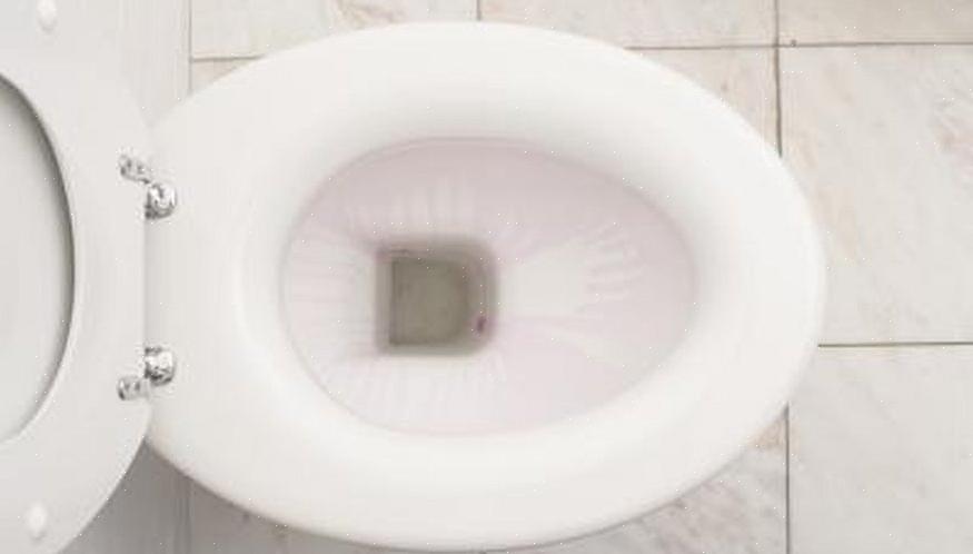 En toiletskålsprækning over vandstanden skal overvåges