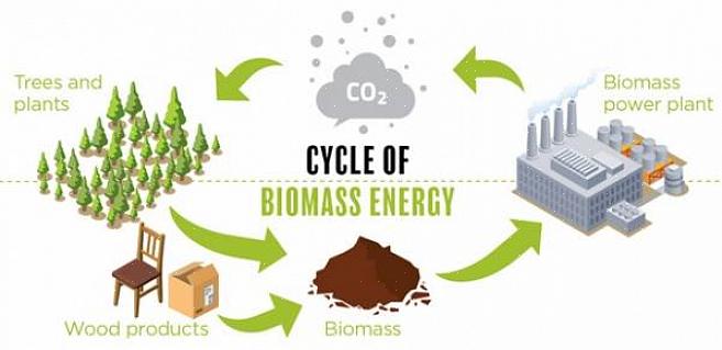 Biomassebrændstof kan omdannes direkte til varmeenergi gennem forbrænding