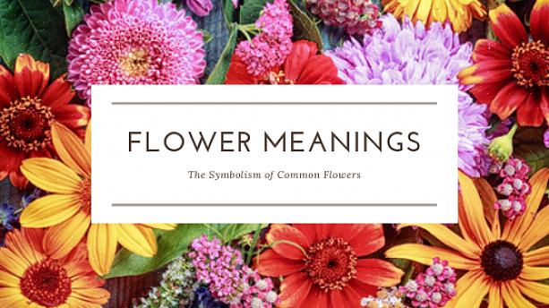 Den første regel for at give blomster til din ægtefælle er at kende