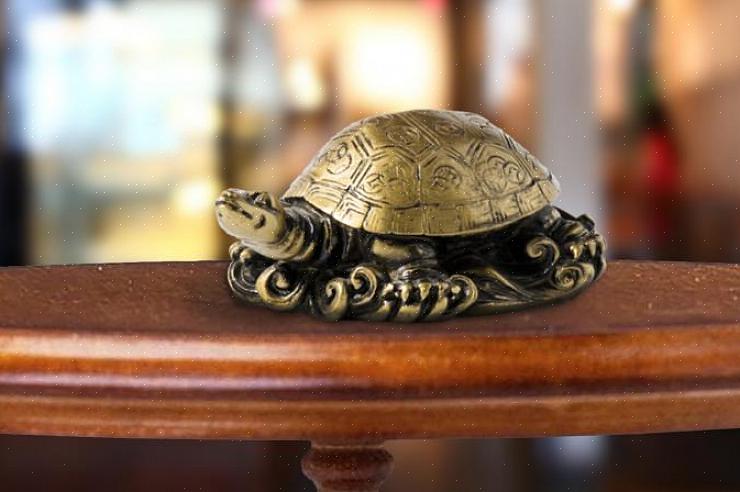 Skildpadden er et himmelsk feng shui-symbol