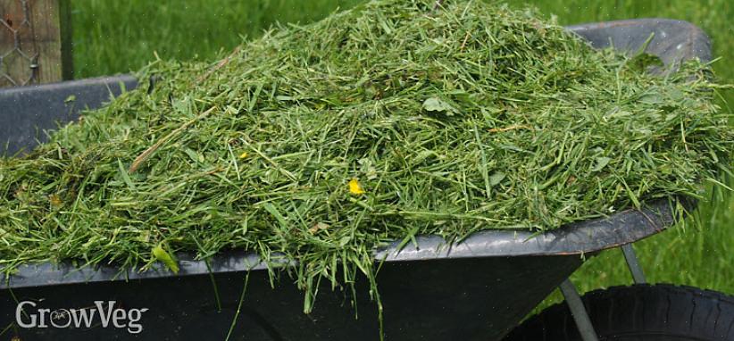Svarende til mulchblade i græsplænen om efteråret tilføjer græsplæner jordskatten værdifuldt organisk