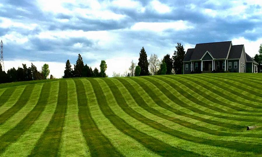 Striping er intet andet end at skubbe græsset ned i den ene retning