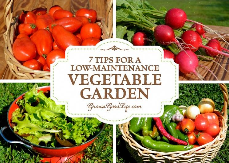 De fleste af disse grøntsager kan dyrkes i beholdere