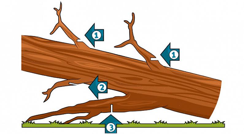 Hopskæringer gør det muligt at beskære lemmerne for at hoppe væk fra både træet