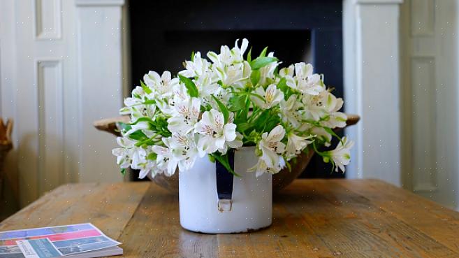 Feng shui-udfordringen med en tørret blomst er at holde sin energi frisk