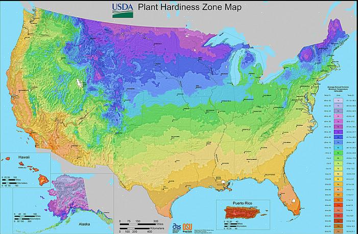 Hvilke planter der vil trives i din særlige placering i North Carolina