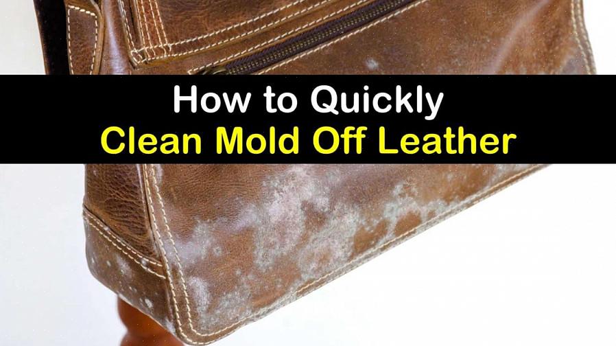 Rengør tørret læder grundigt med læderrenser eller meget mild sæbe (som babyshampoo)