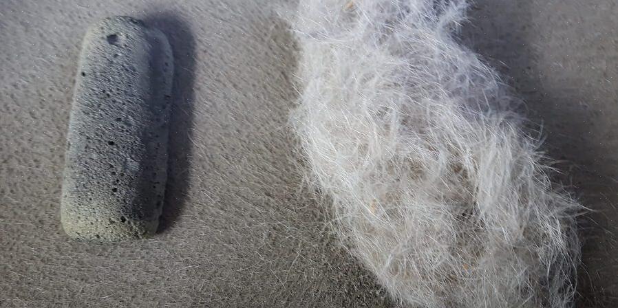 Og brug en tøjbørste eller klæbrig fnugvalse til at fjerne den resterende pels