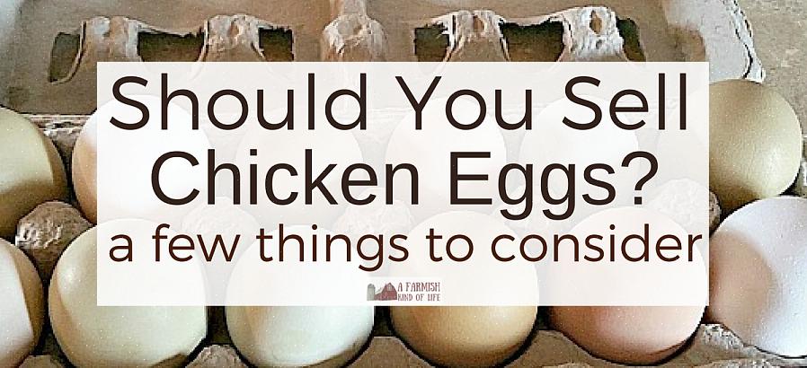 I nogle stater skal alle æg vaskes på en bestemt måde afhængigt af hvor mange æg du sælger