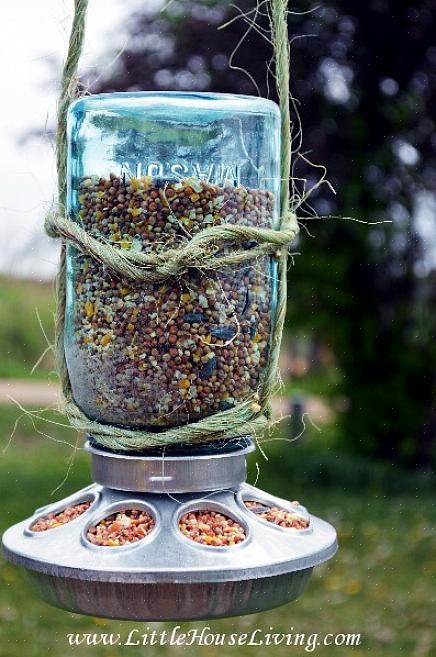 Rengøring af en babymadkrukke kolibri-føder