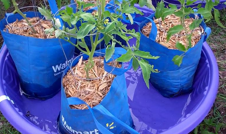 En uformel haveplanter lavet af en stiv plastikbørnepool er meget billig