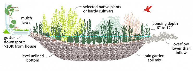 En regnhave er en plantning