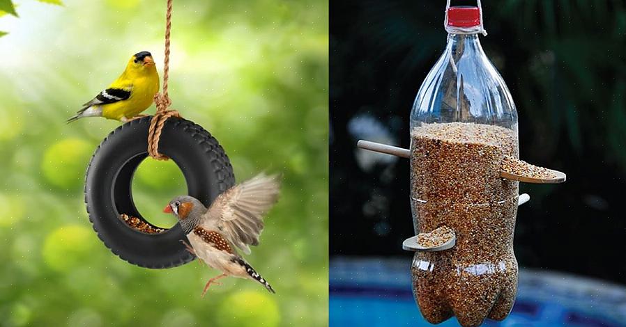 Et stort familieprojekt for fugleelskere forvandler en almindelig 2-liters plastflaske til en funktionel