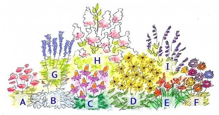 Vil løvet give en behagelig baggrund for de næste blomster