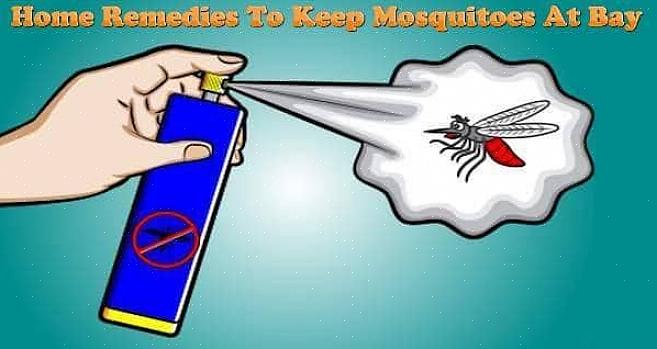 Hvordan kan du kontrollere eller dræbe myggelarver