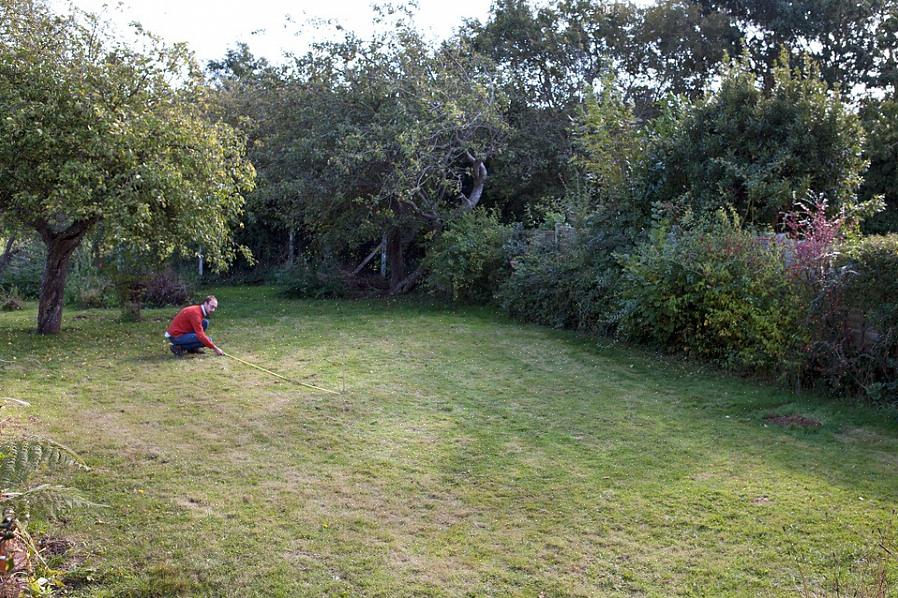 Hvis du har hjertet indstillet på at dyrke en bestemt plante