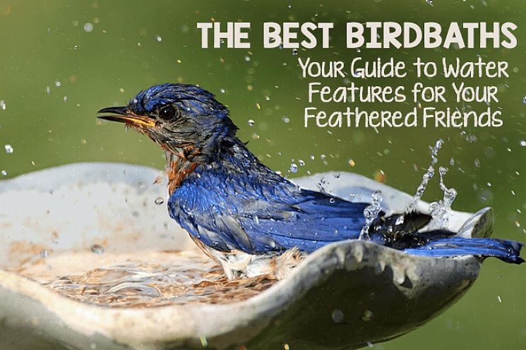 Og tilføjelse af en eller flere vandfunktioner til din have tiltrækker hurtigt fugle