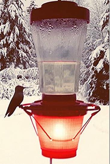 Der kan hjælpe med at holde kolibri nektar i at fryse