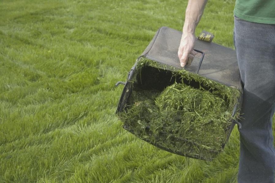 En god måde at komme rundt med at skulle pose eller rive græsafklipp er at klippe med en mulchklipper