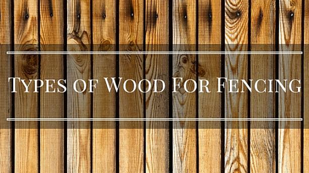 Trykbehandlet tømmer ville de fleste vælge cedertræet ud fra udseendet alene