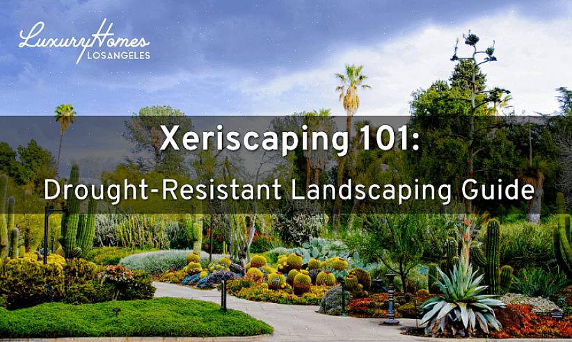 For nogle landskabspersoner betyder xeriscape landskabspleje simpelthen at gruppere planter med lignende