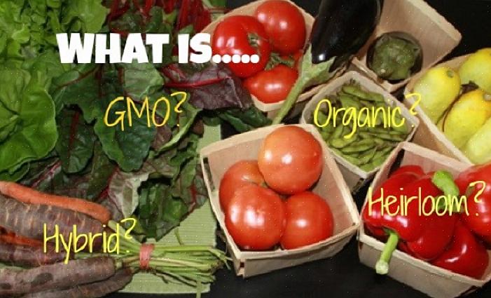 Ikke er genetisk modificerede og dårlige for dig