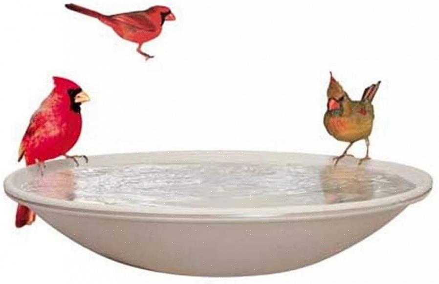 Ved at bruge et opvarmet fuglebad passende er det let at forsyne fugle i baghaven med tilstrækkeligt
