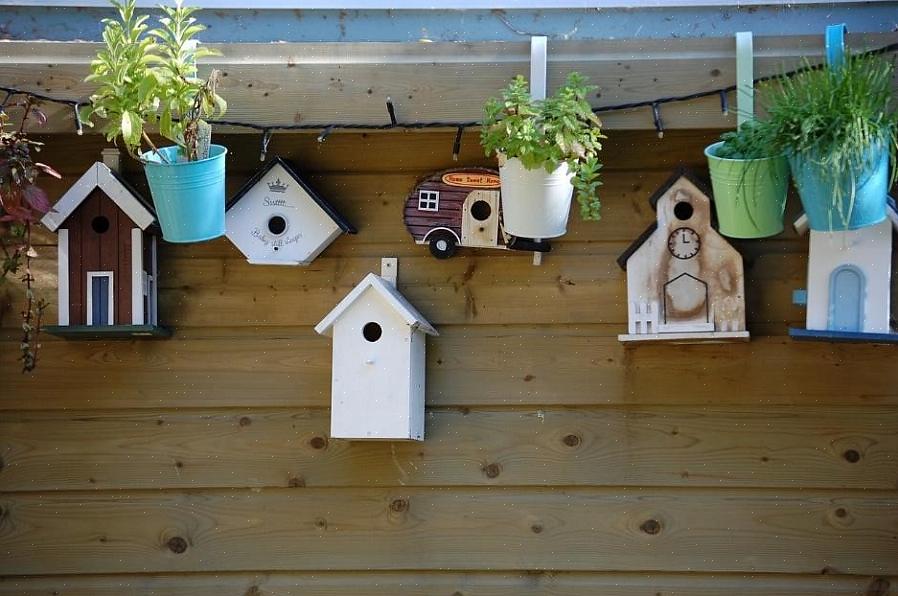 Fuglehussæt er en god mulighed for at bygge et fuglehus