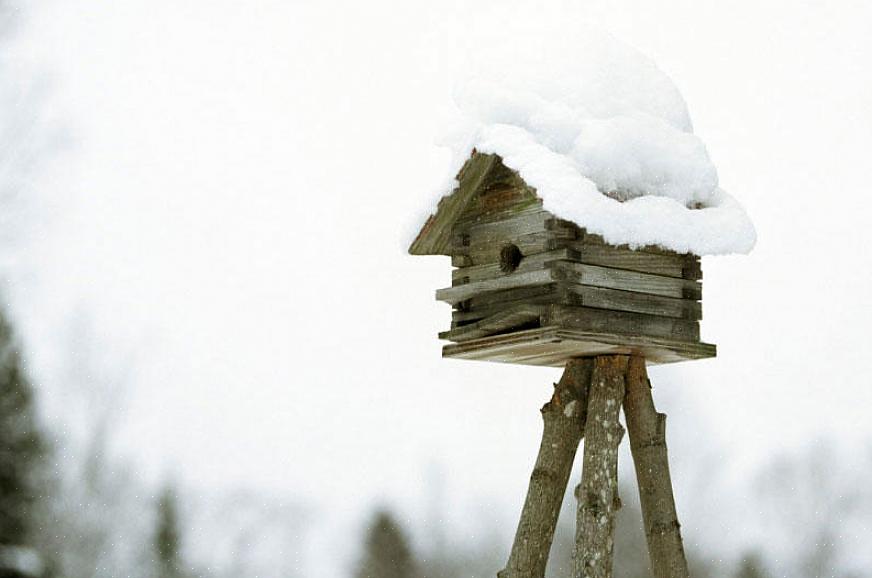 Det er let at konvertere fuglehuse til vinterfuglerum